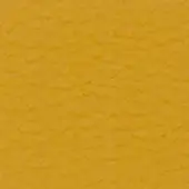 Mustard yellow textured surface with a dense, irregular pattern of small bumps, exhibiting a uniform color and even lighting throughout the frame.